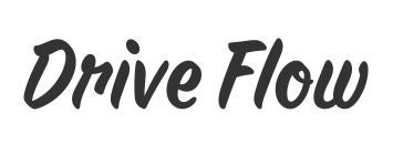 Drive Flow - Logo.JPG