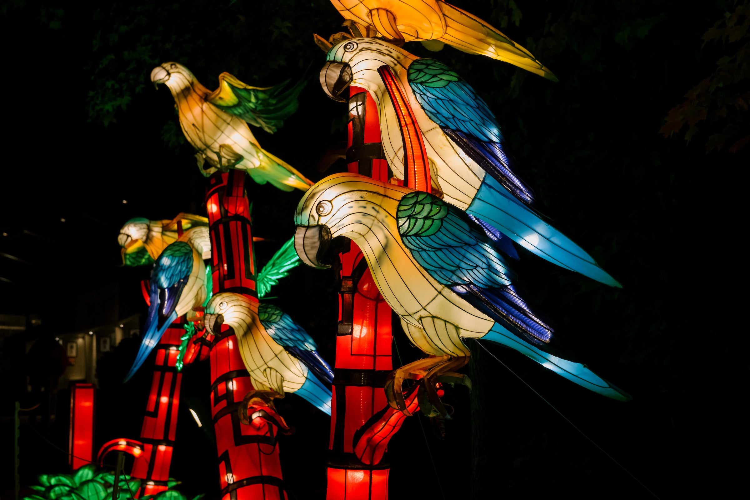 Chinese Lantern Festival Charlotte Nc 2022 Spring Festival 2022