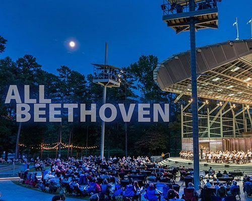 More Info for Summerfest: All Beethoven