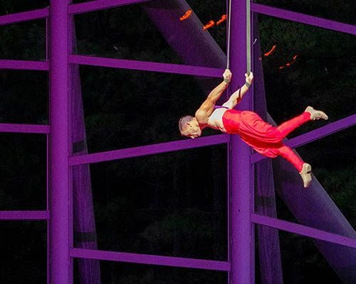 More Info for Cirque Under the Stars