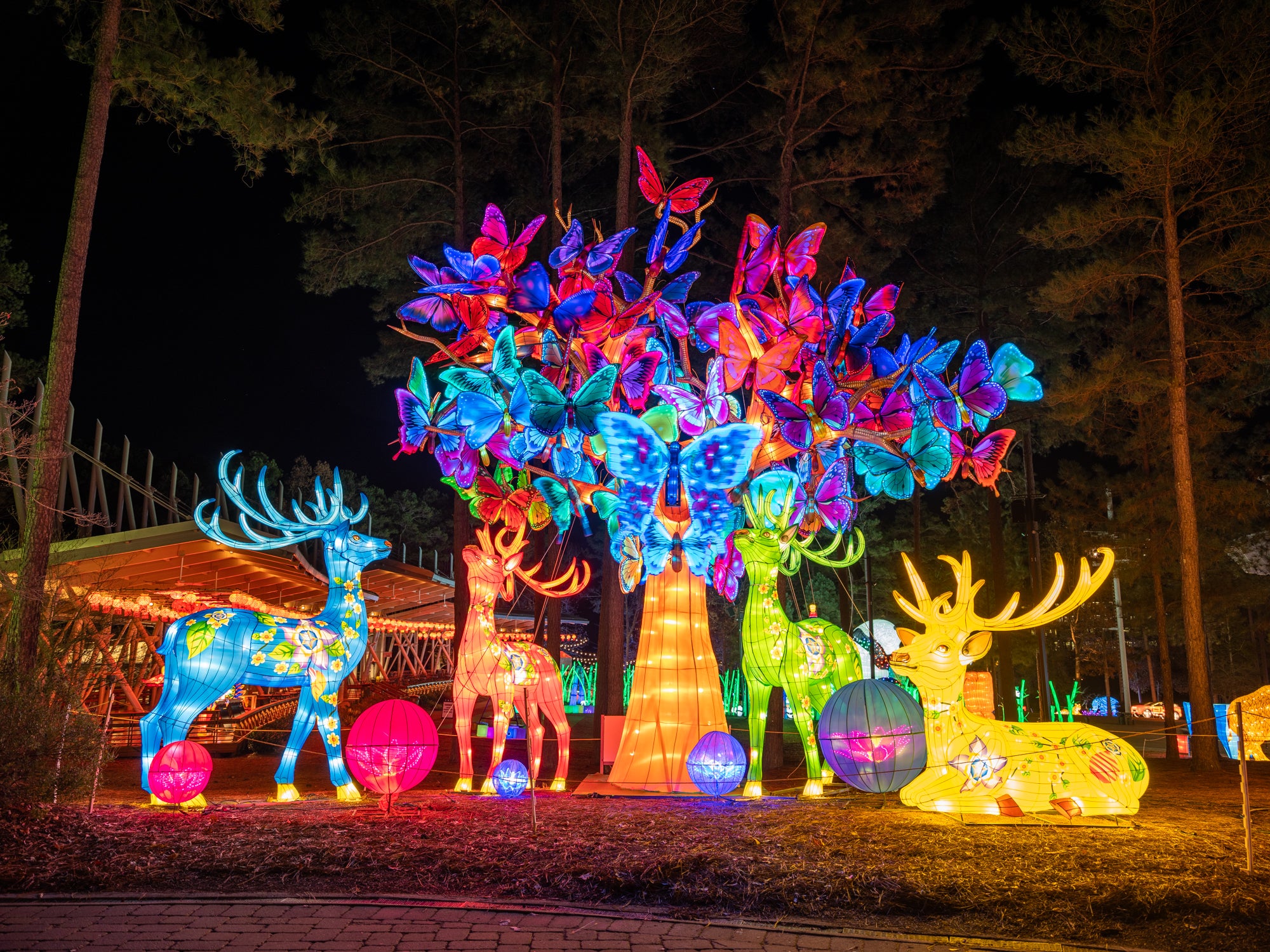 Chinese Lantern Festival Charlotte Nc 2022 Spring Festival 2022